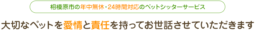 相模原市の年中無休・24時間対応のペットシッターサービス 大切なペットを愛情と責任を持ってお世話させていただきます