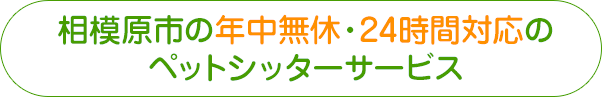 相模原市の年中無休・24時間対応のペットシッターサービス