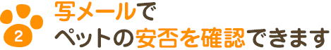 写メールでペットの安否を確認できます